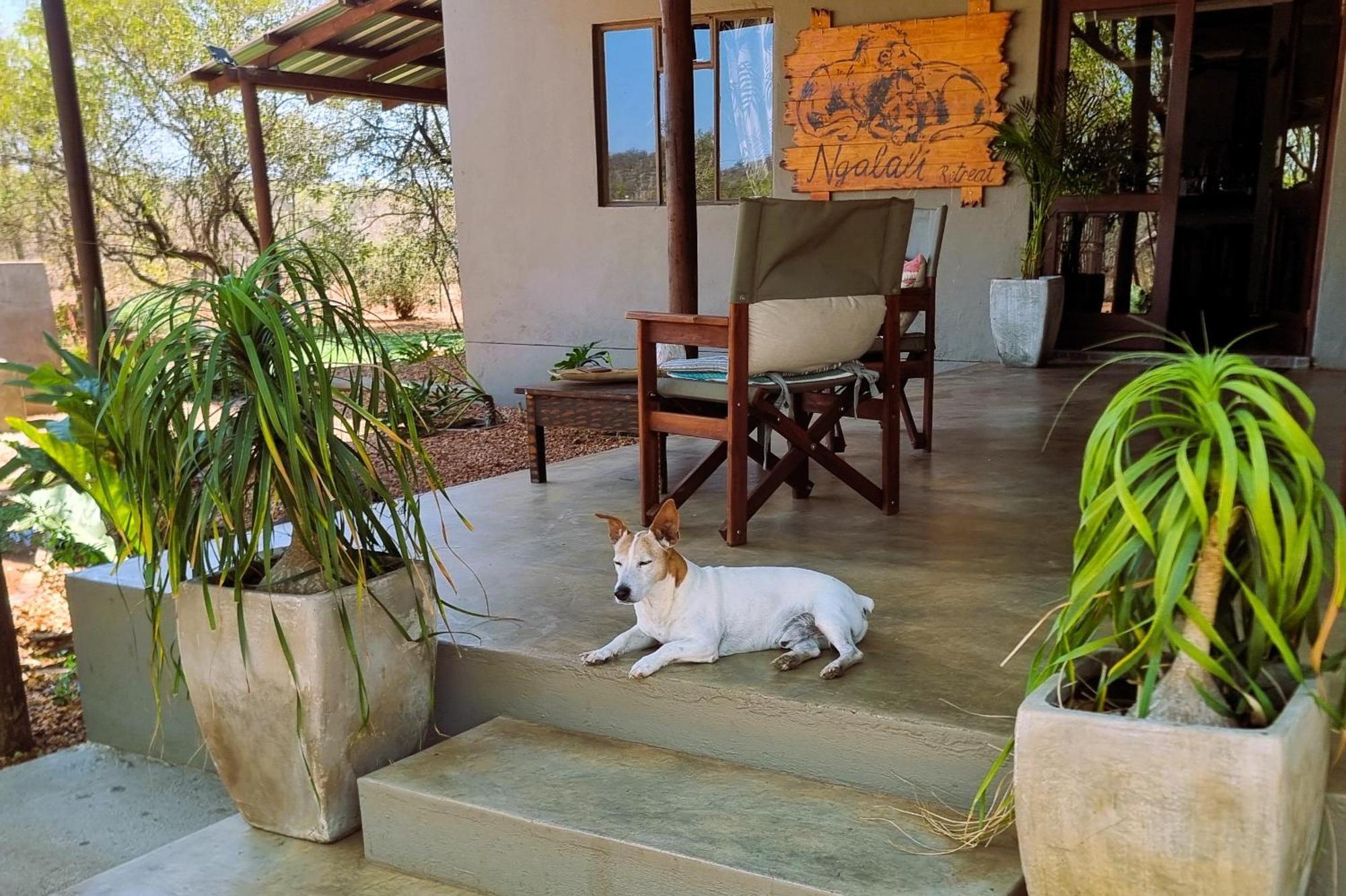 מלון Grietjie Game Reserve Ngalali Retreat מראה חיצוני תמונה